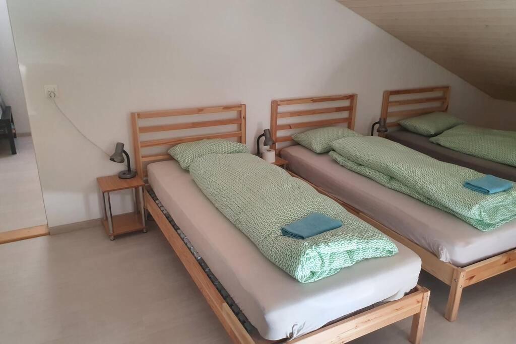 Classy Apartment Ιντερλάκεν Εξωτερικό φωτογραφία